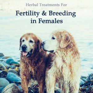 Herbal Treatment For Fertility and Breeding Support - Female - in Dogs