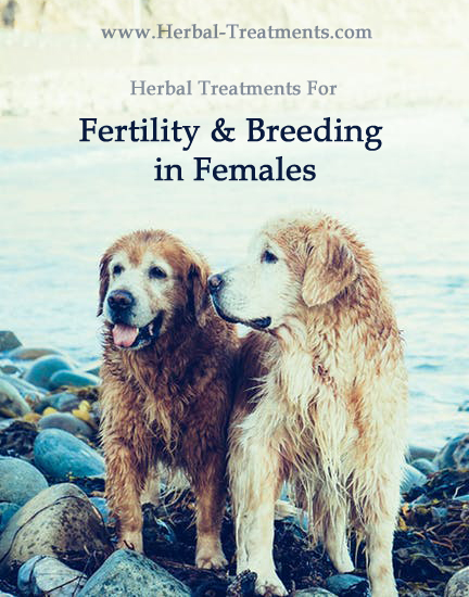 Herbal Treatment For Fertility and Breeding Support - Female - in Dogs
