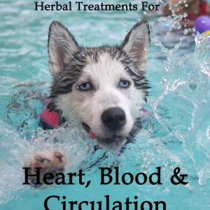 Herbal Treatments for Canine Heart, Blood and Circulatory Conditions