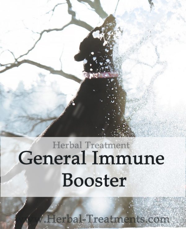 Herbal Treatment - General Immune Booster for Dogs