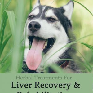 Herbal Treatment - Liver Recovery and Rehabilitation Tonic for Dogs