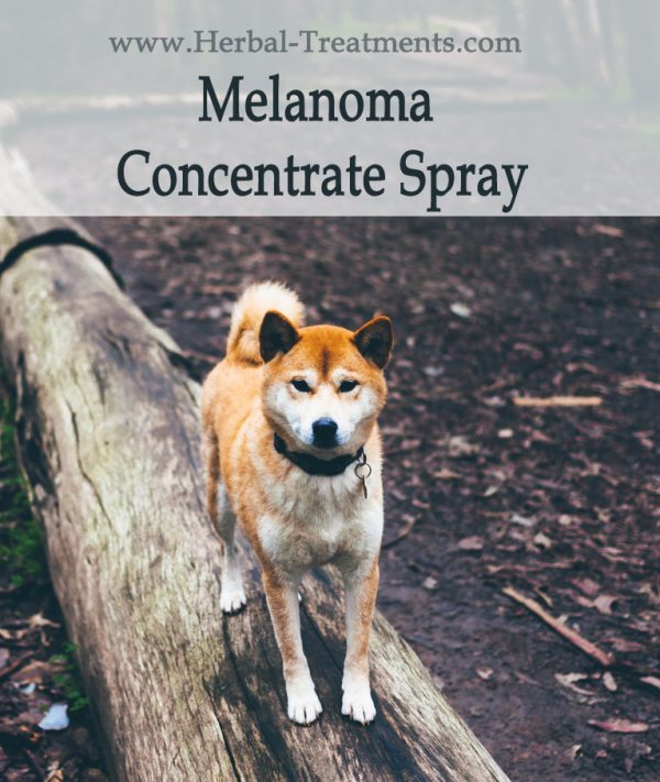 Herbal Treatment for Cancer - Melanoma Concentrate Spray for Dogs