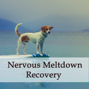 Herbal Treatment - Nervous Meltdown Recovery for Dogs