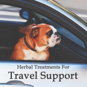 Herbal Treatments for Canine Travel Support