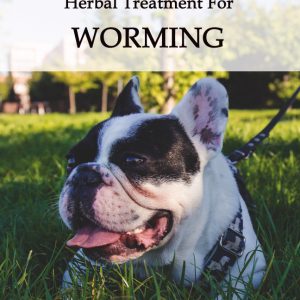Herbal Treatments for Canine Worming