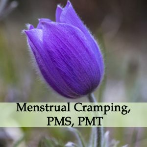 Herbal Medicine for Dysmenorrhea, Menstrual Cramping, PMS, PMT