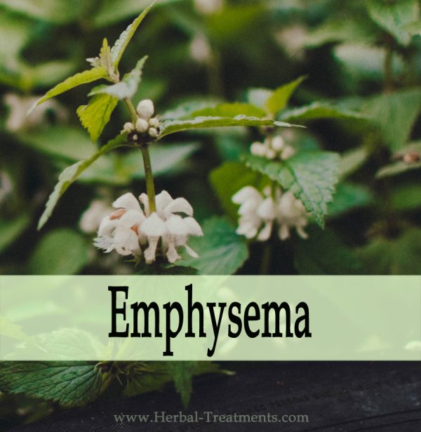 Herbal Medicine for Emphysema (Difficulty Breathing)