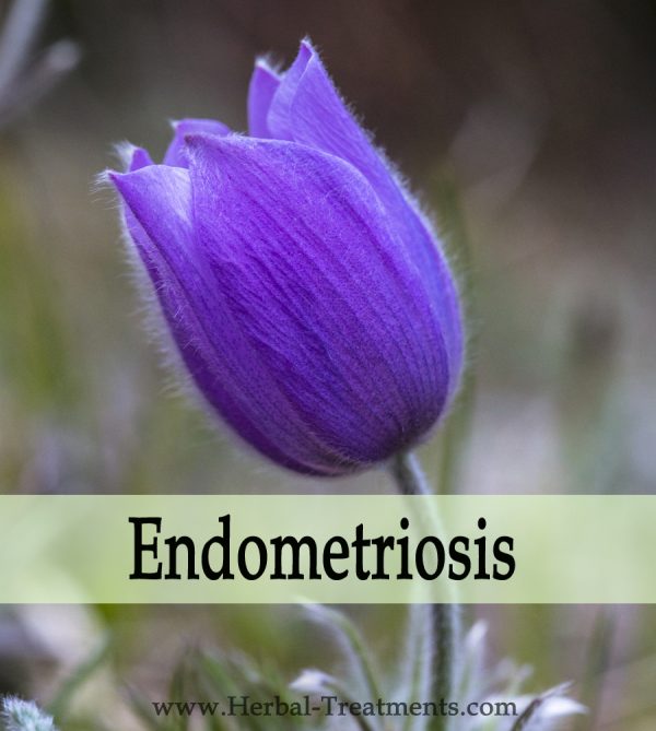 Herbal Medicine for Endometriosis