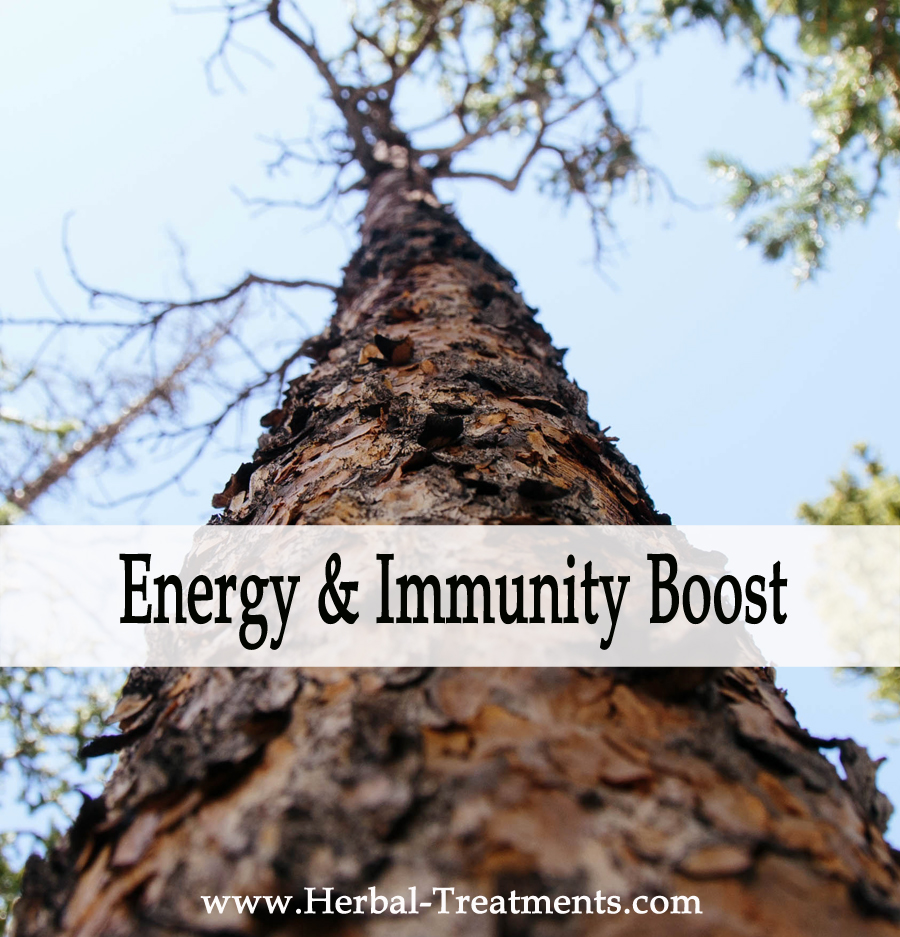 Herbal Medicine for Energy & Immunity Support