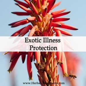 Herbal Medicine for Exotic Illness Protection - Diarrhea Prevention