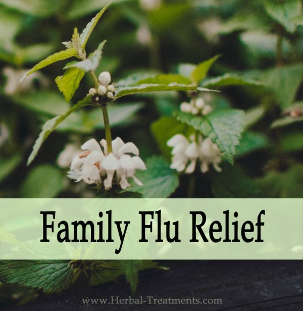 Herbal Medicine for Family Flu Relief & Recovery