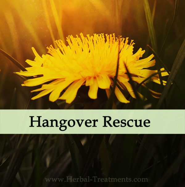 Herbal Medicine for Alcoholic Recovery - Emergency Hangover Treatment