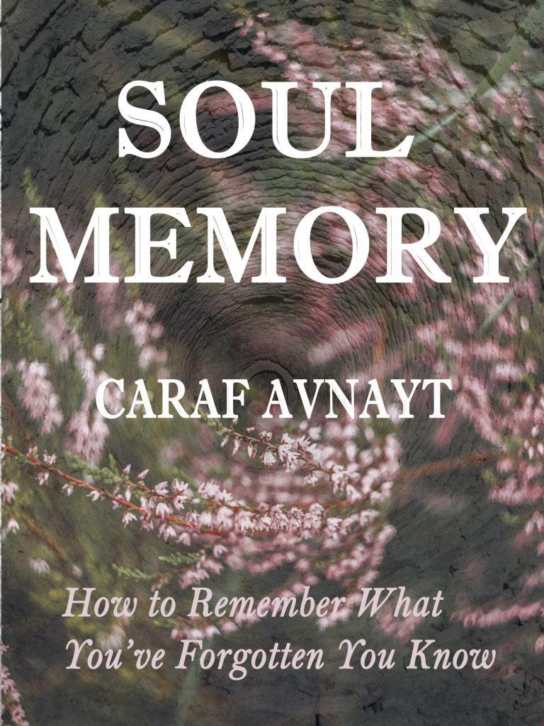Releasing Soul Memory Held in Water - Excerpt from "Soul Memory"
