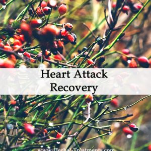 Herbal Medicine for Heart Attack Recovery