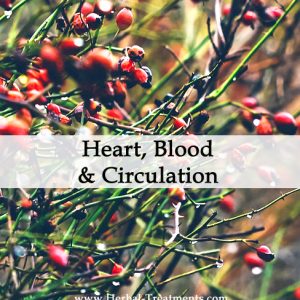 Herbal Treatments for Heart, Blood and Circulatory Conditions