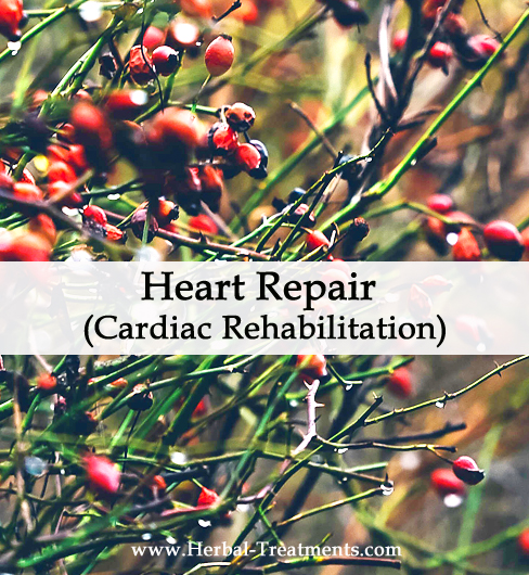 Herbal Medicine for Heart Repair (Cardiac Rehabilitation)