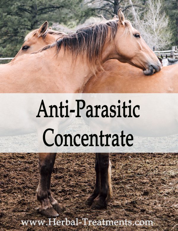 Herbal Treatment - Anti-Parasitic Herbal Concentrate for Horses