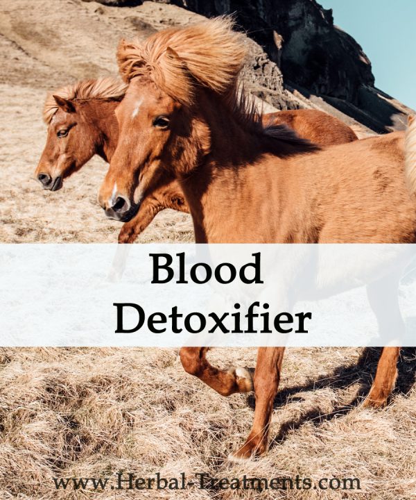 Herbal Treatment - Blood Detoxifier for Horses