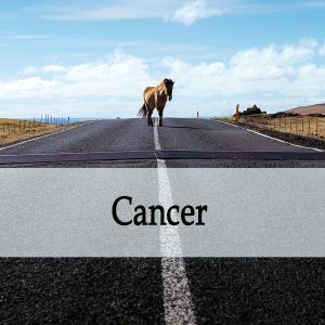 Herbal Treatments for Equine Cancer