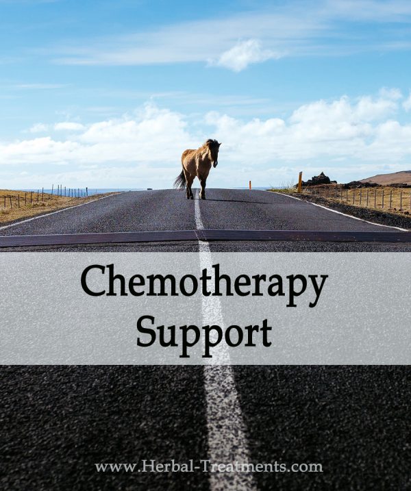 Herbal Treatment For Chemotherapy Side-Effects & Recovery in Horses
