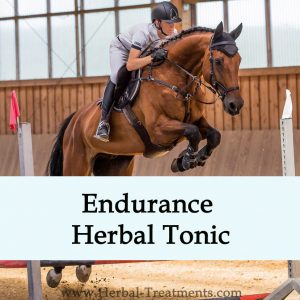 Endurance Herbal Tonic for Horses