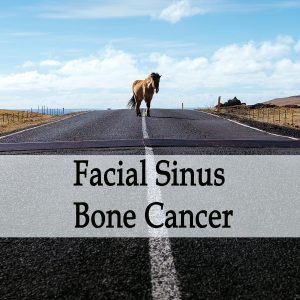 Herbal Treatment of Facial Sinus Bone Cancer in Horses