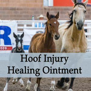 Hoof Injury Healing Ointment