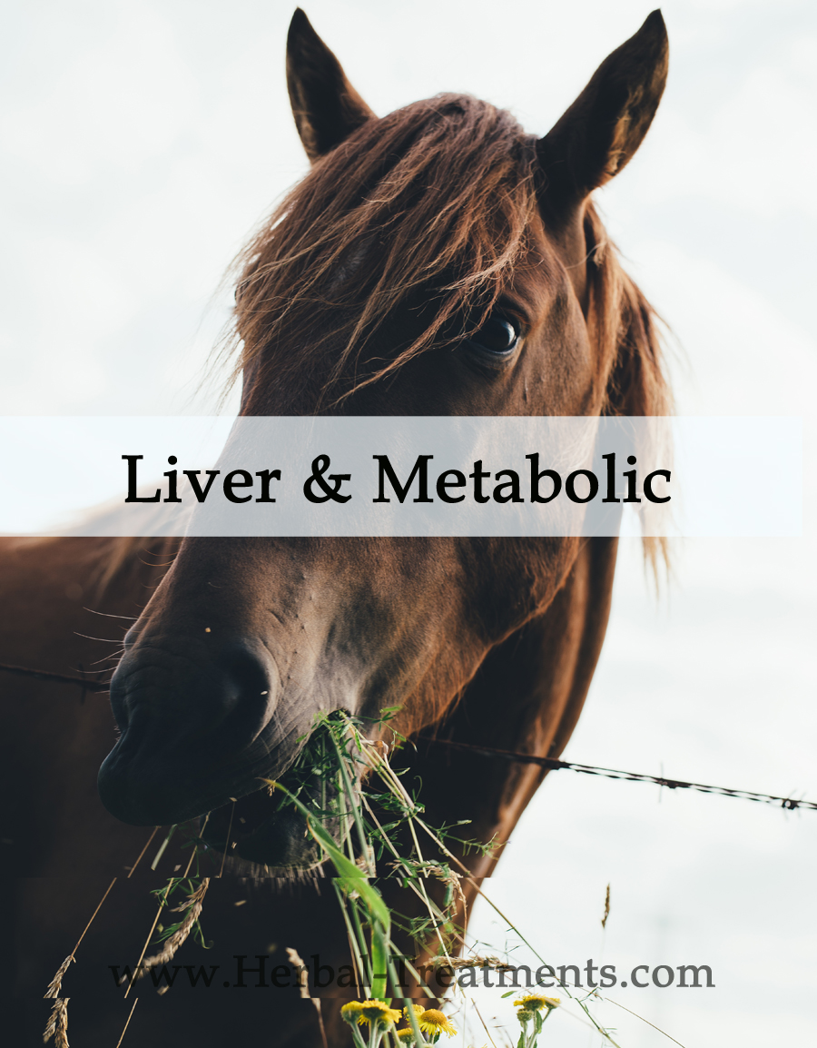 Herbal Treatments for Liver and Metabolic Conditions