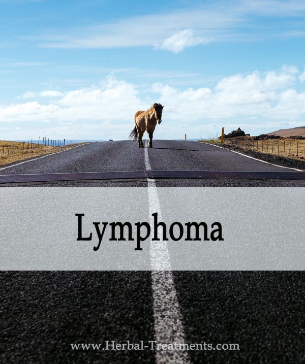 Herbal Treatment for Lymphoma in Horses