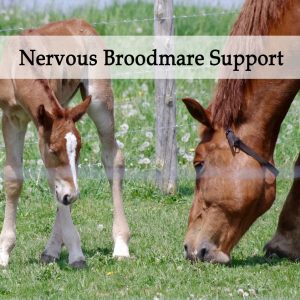 Herbal Treatment - Nervous Broodmare Support