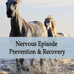 Herbal Treatment - Nervous Episode Prevention & Recovery for Horses
