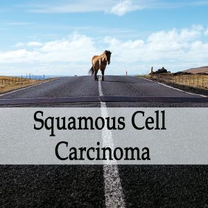 Herbal Treatment of Squamous Cell Carcinoma in Horses