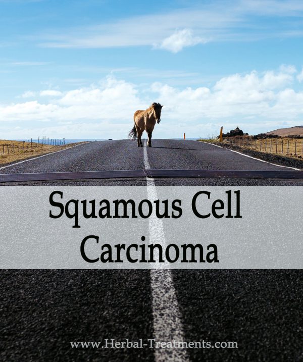 Herbal Treatment of Squamous Cell Carcinoma in Horses