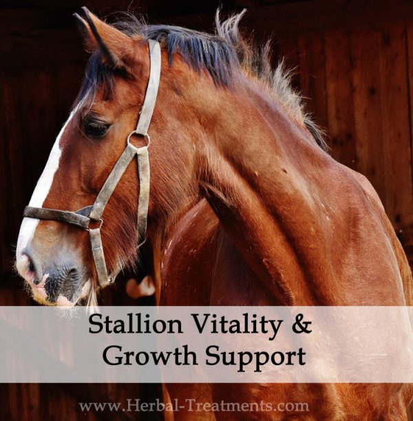 Stallion Vitality and Growth Herbal Tonic