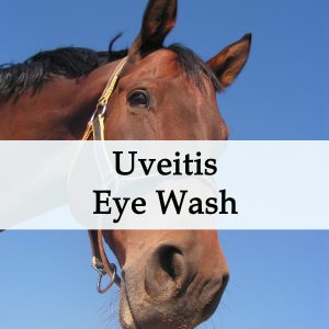 Herbal Treatment for Uveitis Eye Inflammation - Eye Wash For Horses