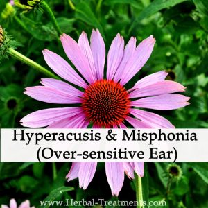 Herbal Medicine for Hyperacusis & Misphonia (Over-sensitive Ear)