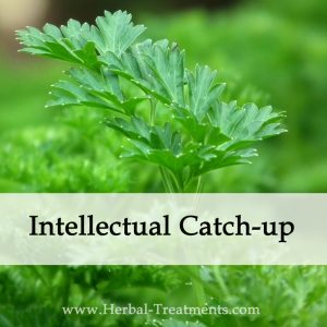 Herbal Medicine for Intellectual Catch-up
