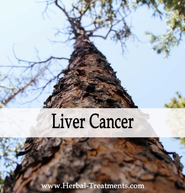 Herbal Medicine for Liver Cancer Recovery & Prevention