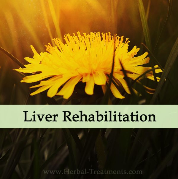Herbal Medicine for Liver Conditioning (Sluggish Liver & Detox)
