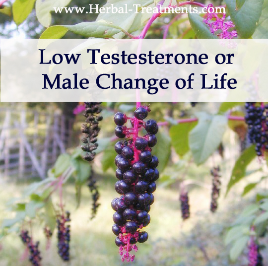 Herbal Medicine for Low Testesterone Levels, Male Menopause