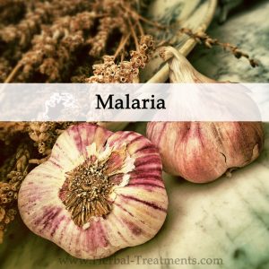 Herbal Medicine for Malaria