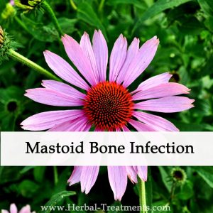 Herbal Medicine for Mastoid Bone Infection