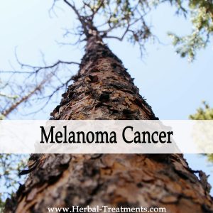 Herbal Medicine for Melanoma Cancer Recovery & Prevention