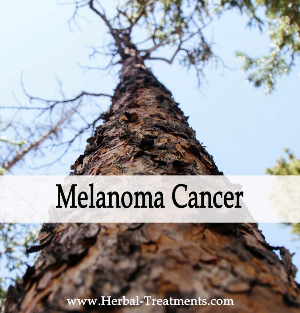 Herbal Medicine for Melanoma Cancer Recovery & Prevention