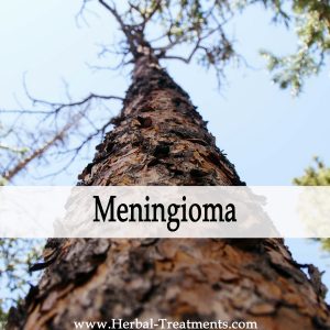 Herbal Medicine for Meningioma Cancer Recovery & Prevention