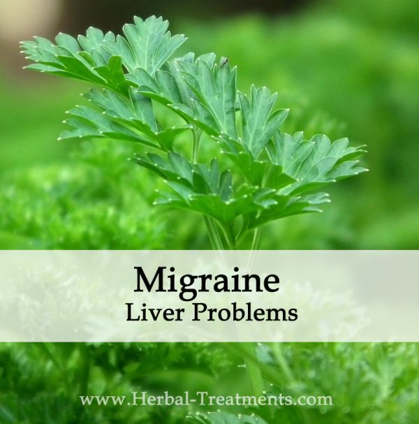 Herbal Medicine for Migraine Liver Based