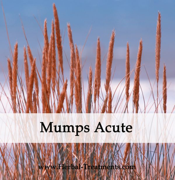 Herbal Medicine for Mumps Acute