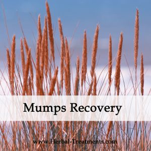 Herbal Medicine for Mumps Recovery