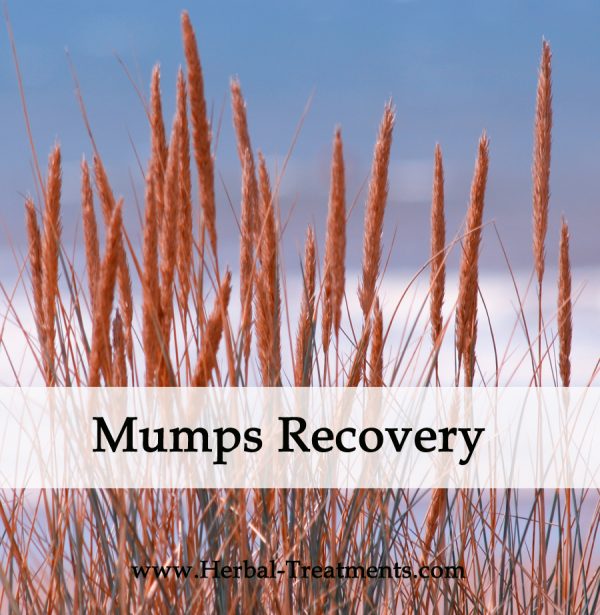 Herbal Medicine for Mumps Recovery