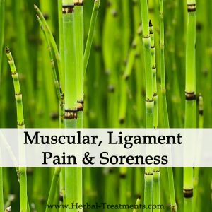 Herbal Medicine for Muscular/Ligament Pain & Soreness (Over-strain)